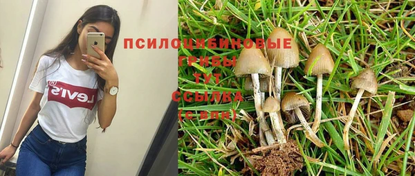 дмт Алексеевка