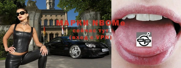 стаф Зерноград