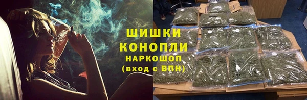 ешки Алексин