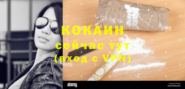 ешки Алексин
