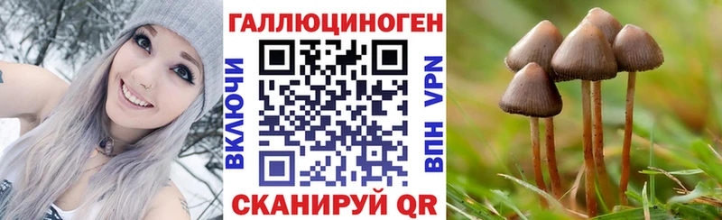 Галлюциногенные грибы MAGIC MUSHROOMS  наркошоп  Сарапул 
